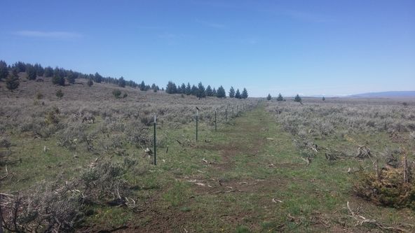 26,000 Acres, Kilgore, ID 83446